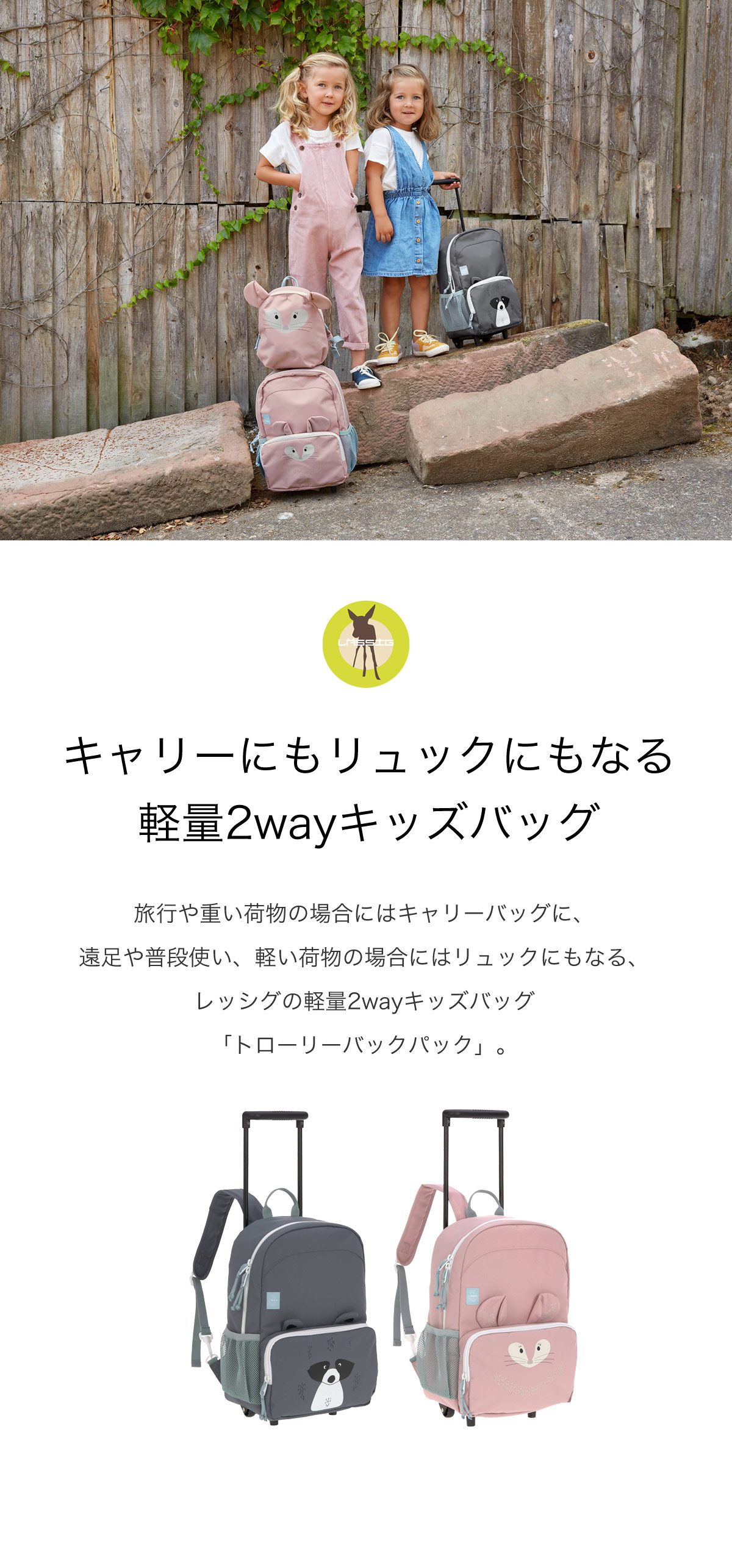 レッシグ トローリーバックパック